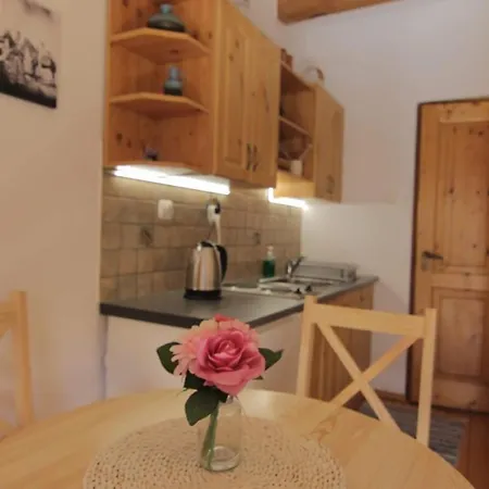 Pod Cisówką Apartamento *